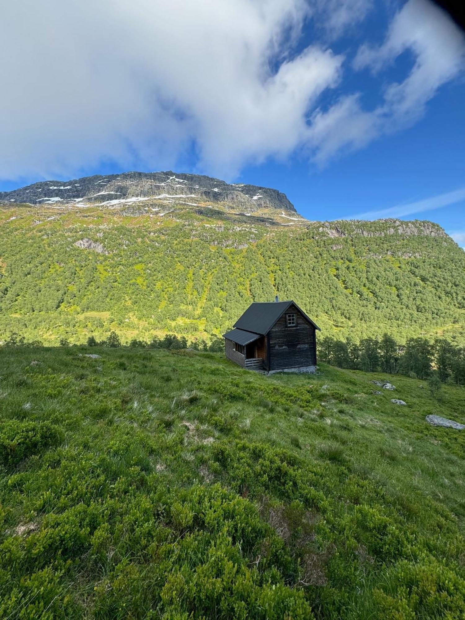 Minnehaugen I Handeland Lodge Sauda Экстерьер фото